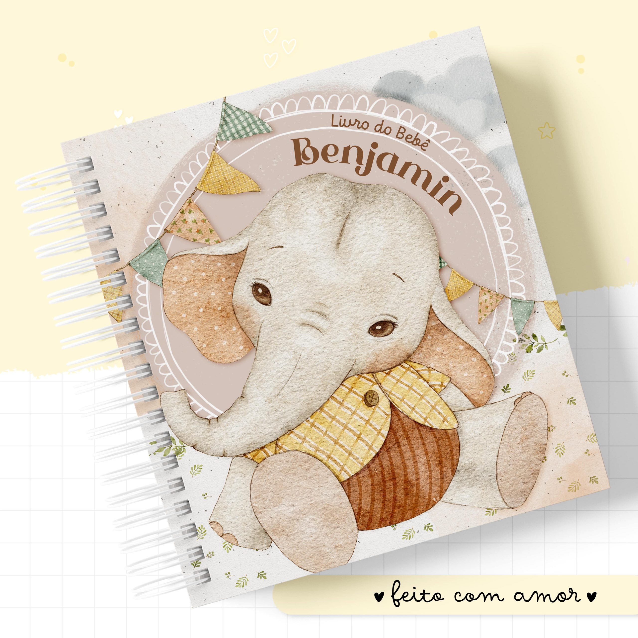 BABY ELEFANTE MENINO (8)