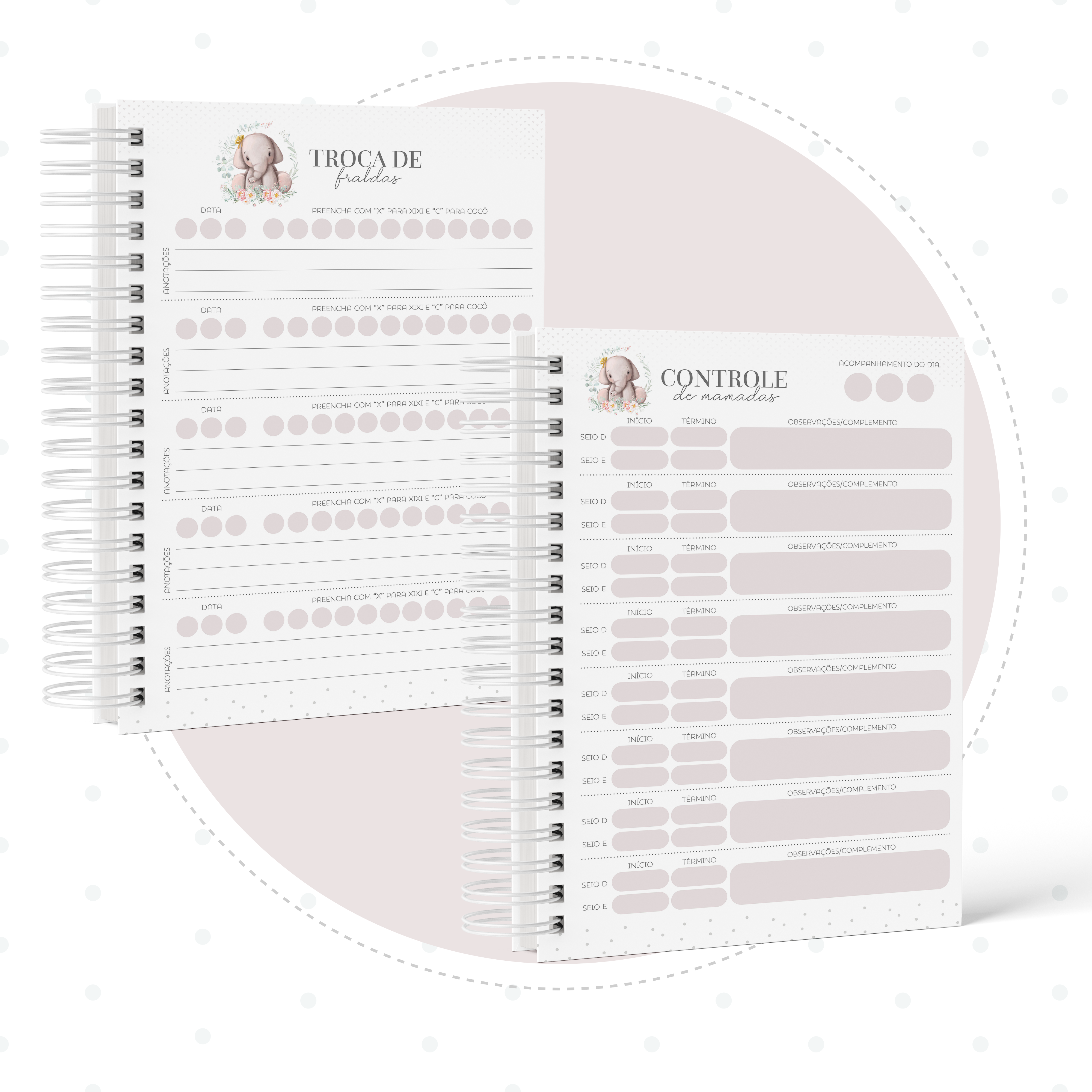 ELEFANTINHA VERSÍCULO