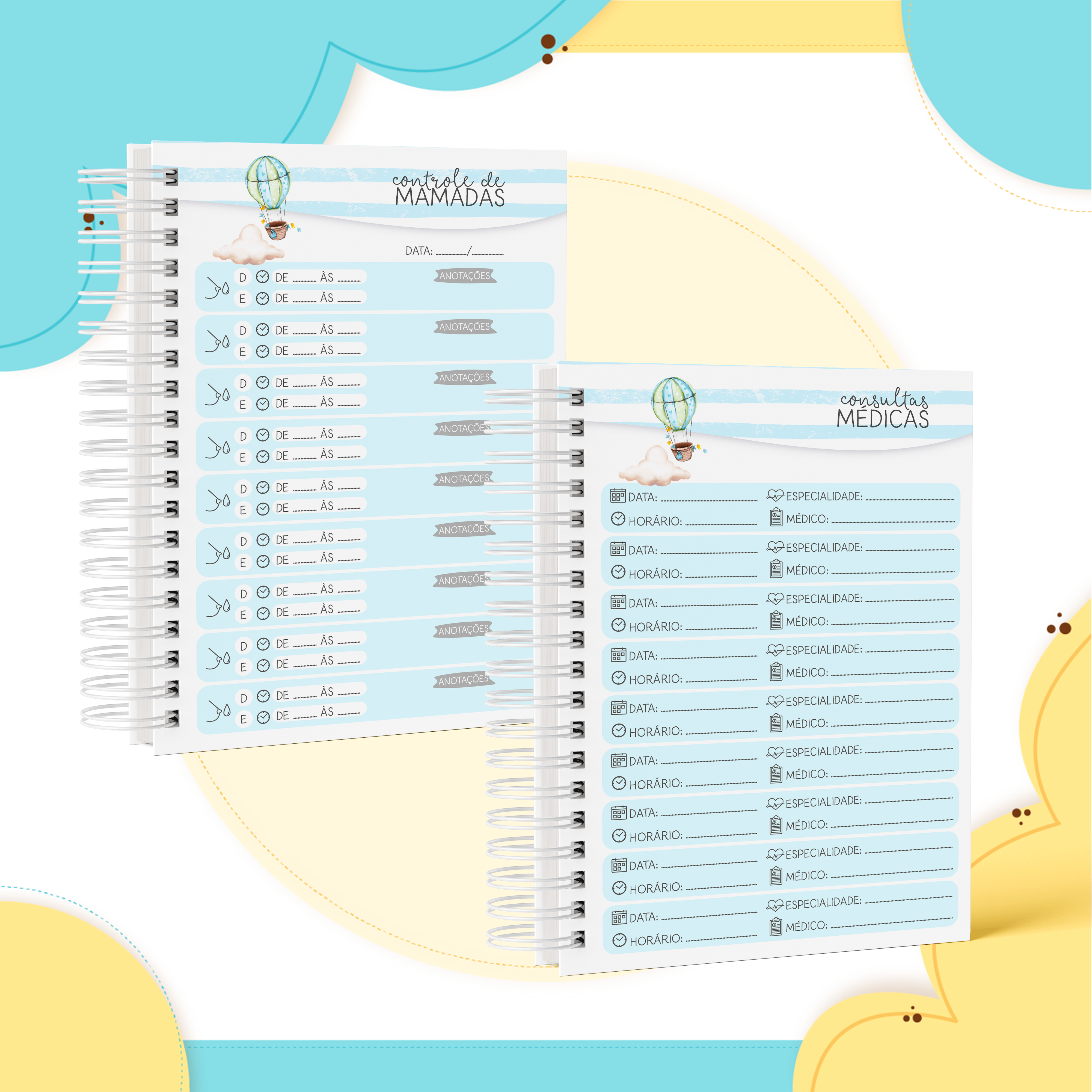 TRANSPORTES AEREOS (13)